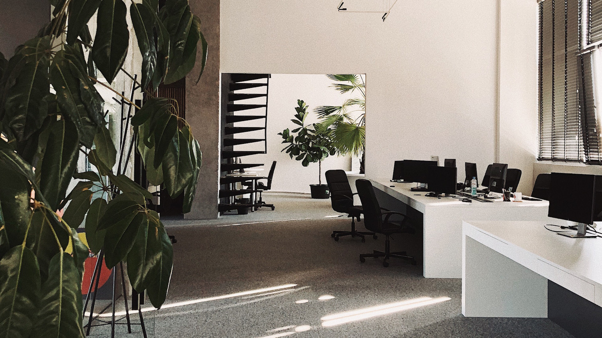 Photo of Architects Office Cleaning cleaning