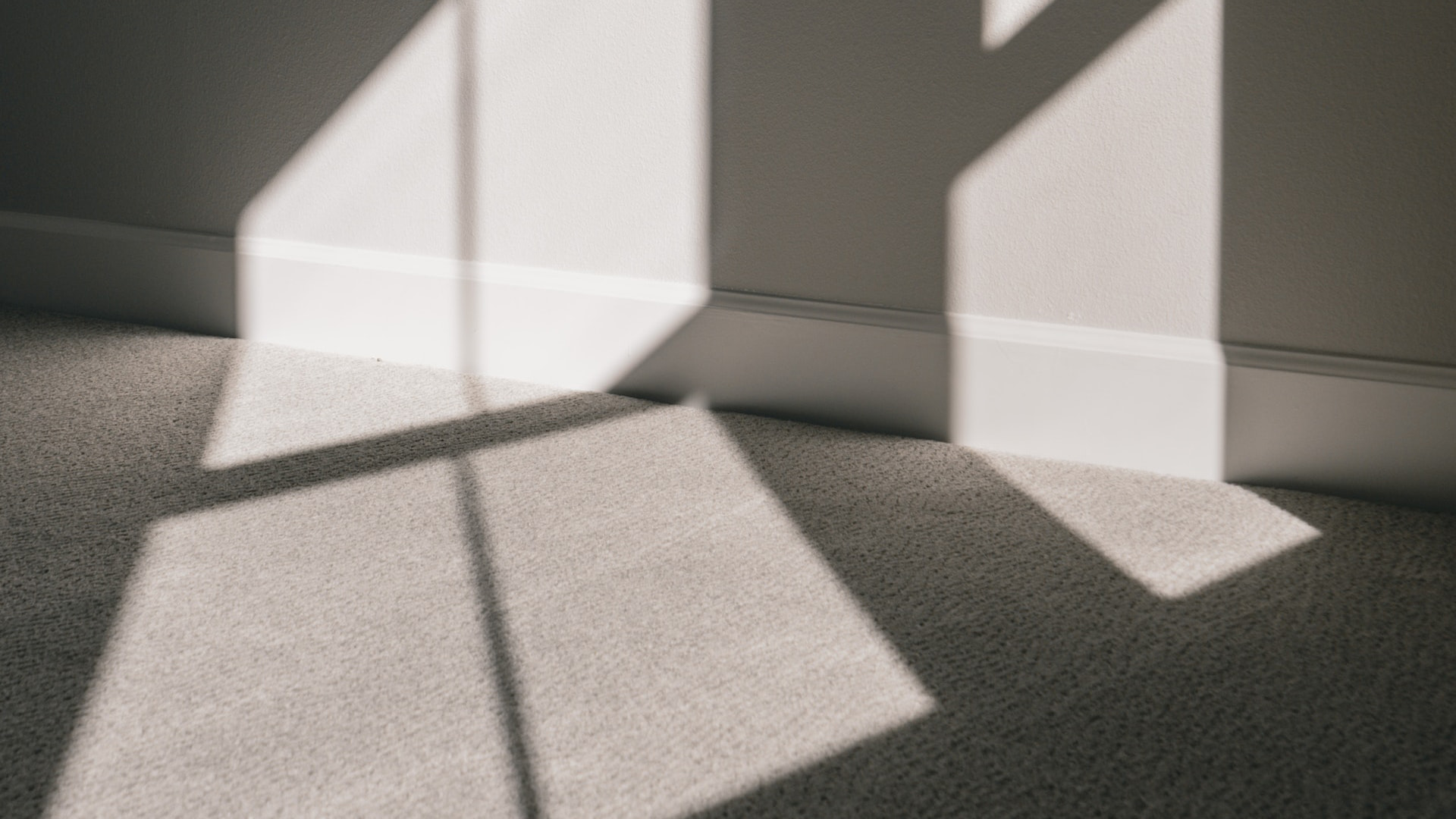 Everyday foot traffic brings in a myriad of dirt and allergens, especially onto carpets and rugs. The dust particles and grime can become deeply embedded, making it harder for regular cleaning to be effective. Our professional team uses the latest cleaning techniques and eco-friendly products to ensure your carpets are not only clean but also healthy for your employees and clients.